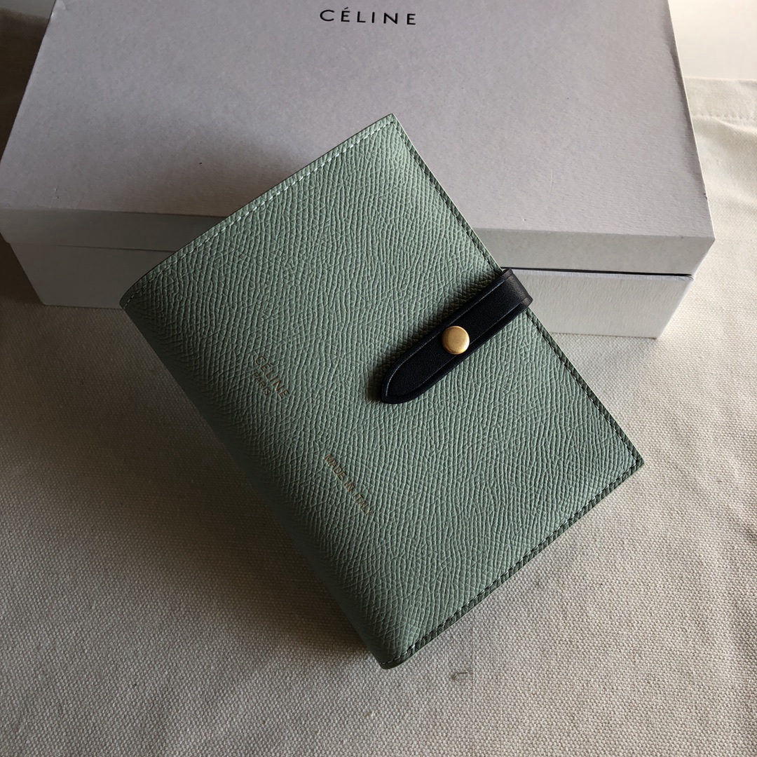Celine Light Blue Palm Print