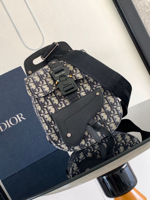 Christian Dior Gallop