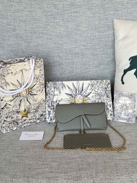 Christian Dior SaddleWoc