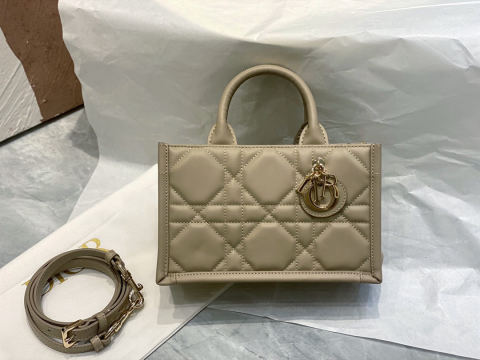 Christian Dior Book Tote