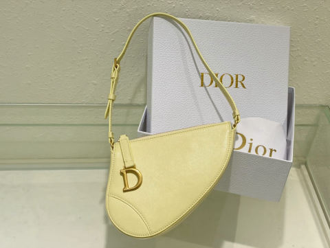 Christian Dior Saddle Bag