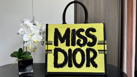 Christian Dior Book Tote