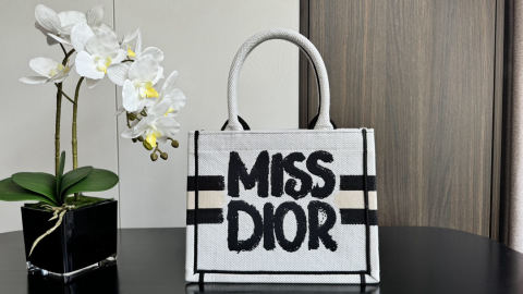 Christian Dior Book Tote