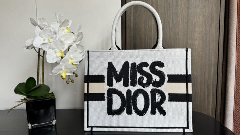 Christian Dior Book Tote