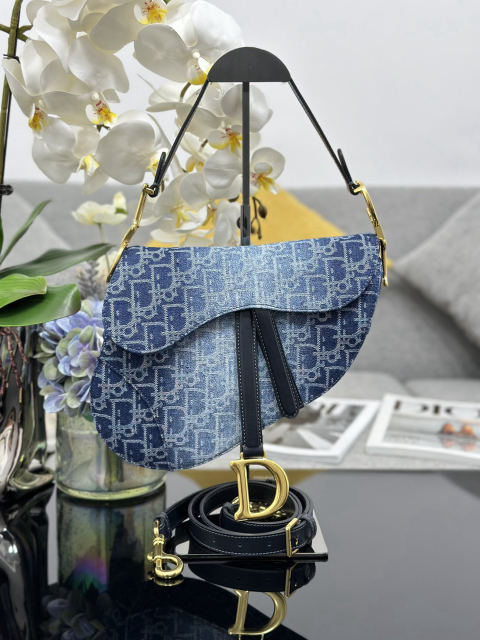 Christian Dior Denim Dior Oblique